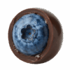 Blueberry
