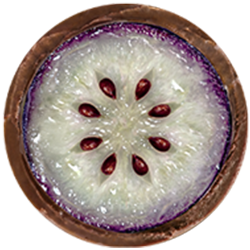 Blueberry Hover