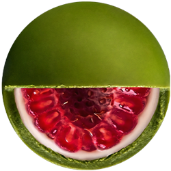 Matcha Hover